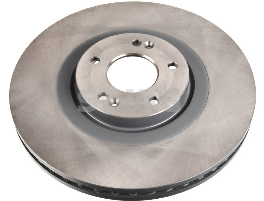 Brake Disc - 33 10 5389 SWAG